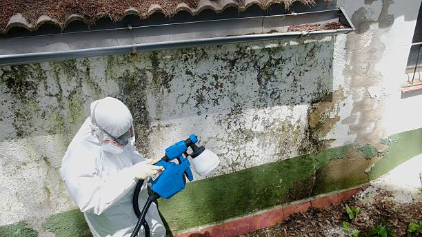 Trusted Commercial Mold Remediation service in Shrewsbury, NJ - Cheap Mold Removal
